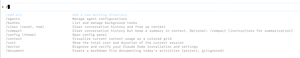 Claude Code slash commands in terminal